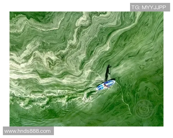 极限运动战术探秘：西安极限运动队的创新阵地战体系解析