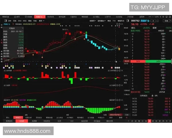 独家解析V5战术对比与战队表现的深度剖析