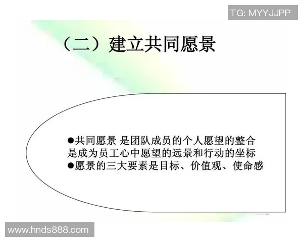 上海乒乓球队的团队协作之道：凝聚力与默契的完美结合