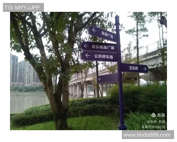 青衣运动场周边区域综合发展规划与未来潜力分析